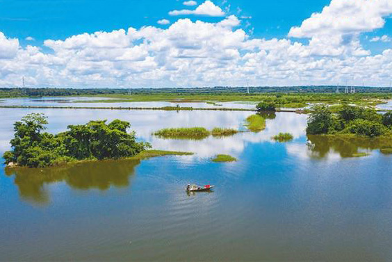 ���ڳɹ�ע�ᡰ���ź�ʪ�ء�������־֤���̱꣬ǿ��������Դ�ı����������̱�������